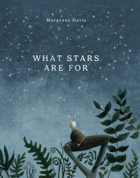 WHAT STARS ARE FOR
