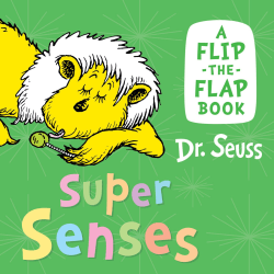 SUPER SENSES BOARD BOOK