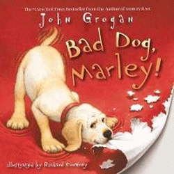 BAD DOG, MARLEY!