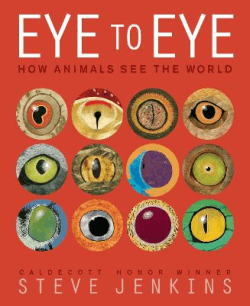 EYE TO EYE: HOW ANIMALS SEE THE WORLD
