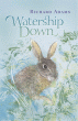 WATERSHIP DOWN