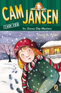 SNOWY DAY MYSTERY, THE