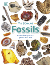 MY BOOK OF FOSSILS: PREHISTORIC TREASURES