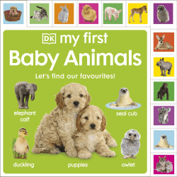 MY FIRST BABY ANIMALS: LET'S FIND OUR FAVOURITES!
