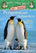 PENGUINS AND ANTARCTICA