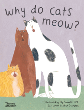 WHY DO CATS MEOW? CURIOUS QUESTIONS ABOUT YOUR