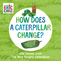 HOW DOES A CATERPILLAR CHANGE? BOARD BOOK