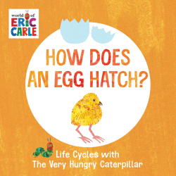 HOW DOES AN EGG HATCH? BOARD BOOK