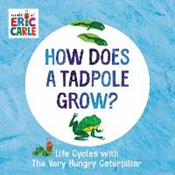 HOW DOES A TADPOLE GROW? BOARD BOOK