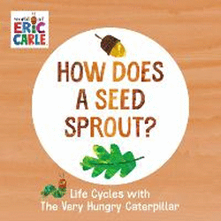 HOW DOES A SEED SPROUT? BOARD BOOK