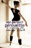 ONE PERFECT PIROUETTE