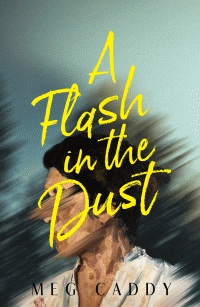 FLASH IN THE DUST, A