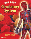 CIRCULATORY SYSTEM