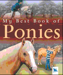 MY BEST BOOK OF PONIES