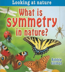 WHAT IS SYMMETRY IN NATURE?