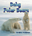 BABY POLAR BEARS