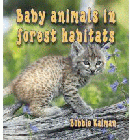 BABY ANIMALS IN FOREST HABITATS