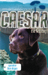 CAESAR THE WAR DOG: OPERATION BLUE DRAGON