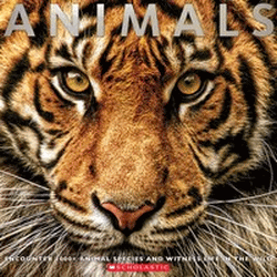 ANIMALS