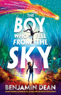 BOY WHO FELL FROM THE SKY, THE
