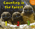 COUNTING IN THE FOREST