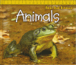 ANIMALS