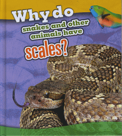 WHY DO SNAKES AND OTHER ANIMALS HAVE SCALES?