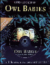 OWL BABIES, THE