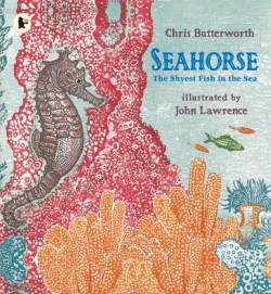 SEAHORSE THE SHYEST FISH IN THE SEA