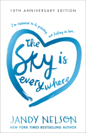 SKY IS EVERYWHERE, THE