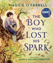 BOY WHO LOST HIS SPARK, THE