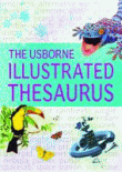 USBORNE ILLUSTRATED DICTIONARY AND THESAURUS, THE
