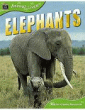 ELEPHANTS