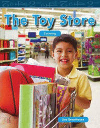 TOY STORE, THE
