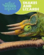SNAKES AND LIZARDS