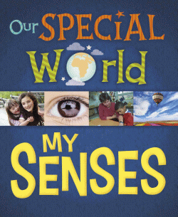MY SENSES