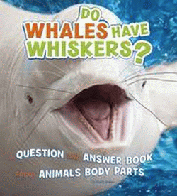 DO WHALES HAVE WHISKERS?