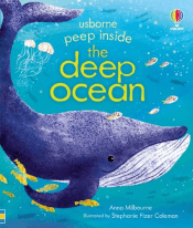 DEEP OCEAN BOARD BOOK, THE