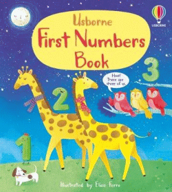 FIRST NUMBERS BOOK BOARD BOOK