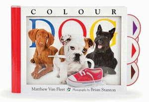 COLOUR DOG