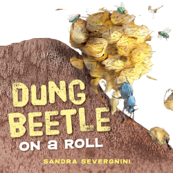 DUNG BEETLE ON A ROLL