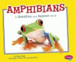 AMPHIBIANS