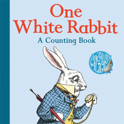 ONE WHITE RABBIT: A COUNTING BOARD BOOK