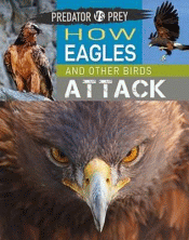 HOW EAGLES AND OTHER BIRDS ATTACK