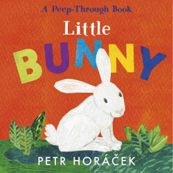 LITTLE BUNNY BOARD BOOK