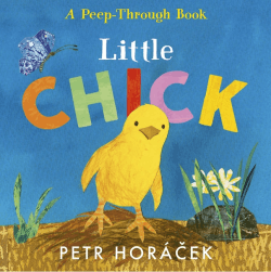 LITTLE CHICK BOARD BOOK