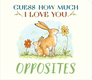 OPPOSITES BOARD BOOK