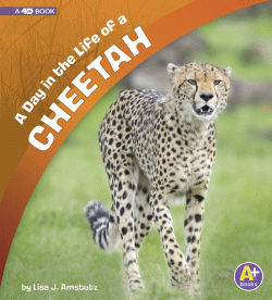 DAY IN THE LIFE OF A CHEETAH, A