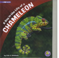 DAY IN THE LIFE OF A CHAMELEON, A