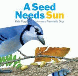 SEED NEEDS SUN, A